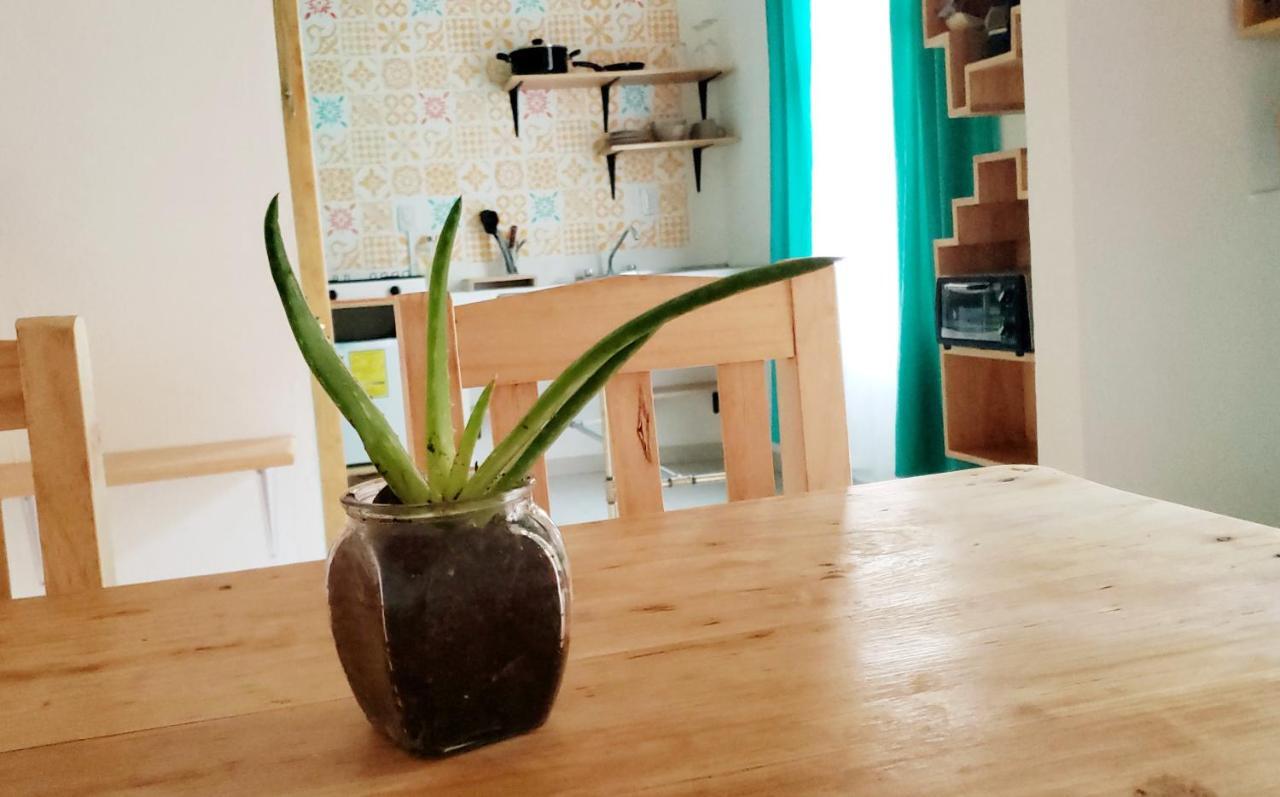 Kukul'ik Tapancos Apartment San Cristobal de las Casas Bagian luar foto